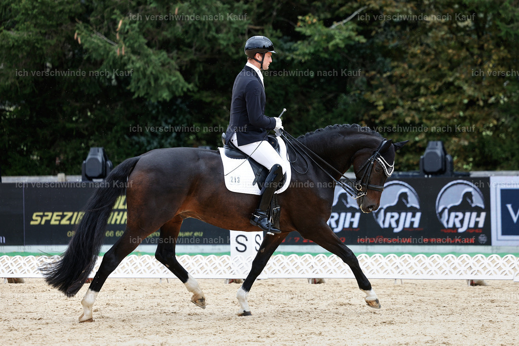 3-213-Dressur M_-StoibPH-2485 | working equitationturnier fotograf videograf stoibphotography marixx film working equitation deutschland reitsport turnierfotografie eventfotografie equestrian events