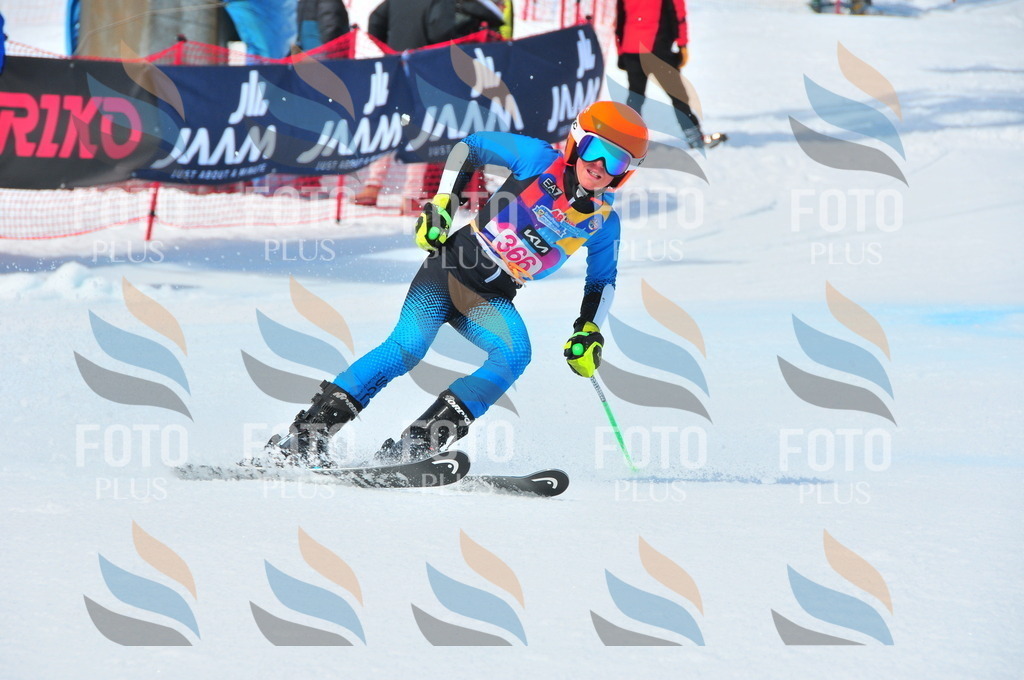 DSC_7092 | holidayphoto