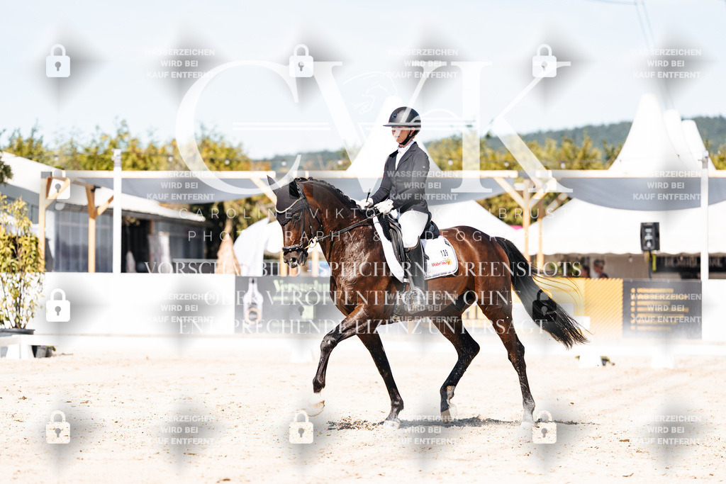 CK909461 | Turnierfotografie Pferdefotografie Trier Rheinland-Pfalz Pferdesport Reitsport Tierfotografie Sportfotografie Pferdevideo Pferdevideografie Equestrianvideography equestrianphotography  - Realisiert mit Pictrs.com