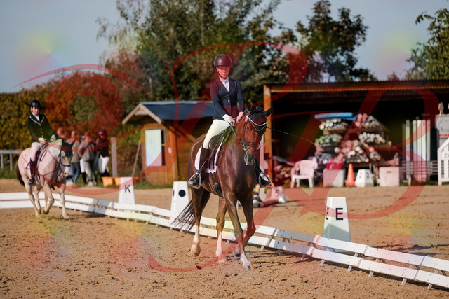2026_10_03_Siefer-Hof_114748_Z63_27114967 | Professionelle Reitsport-, Turnier- und Eventfotografie von Robert Broda. Galerien mit ausgewählten und bearbeiteten Bildern direkt online ansehen und bestellen.