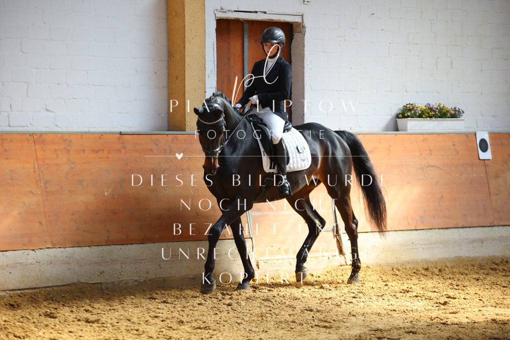 IMGT7041 | pl-fotografie