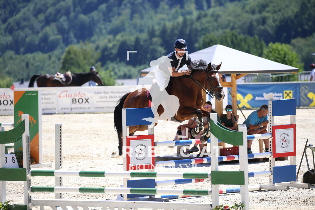 DL2Q3889 | Willkommen bei Brunnmayr - Design & Fotografie – Ihrem Spezialisten für Reitturniere und Pferdeveranstaltungen in Oberösterreich, Salzburg und Bayern! Seit über 17 Jahren sind wir leidenschaftlich dabei.