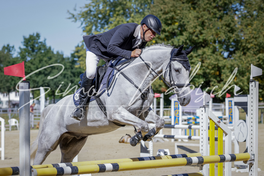 20250906-_3LI3961 | Tierfotografie Pferde, Hunde, Katzen, Haustiere.
Turnierfotografie Reitturniere, Reiten, Springreiten, Dressur in Hanau, dem Main-Kinzig-Kreis und dem Rhein-Main- Gebiet um Frankfurt