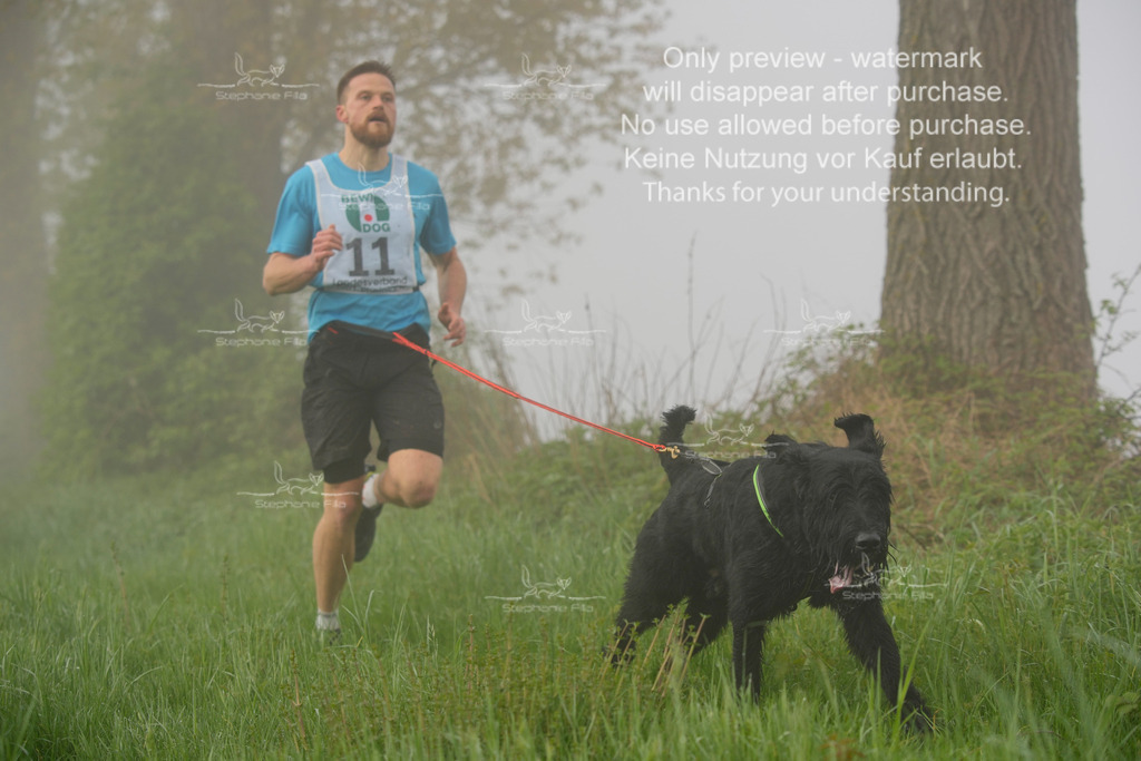 SA_GL2-62 | stephaniefillaphotographie - Realisiert mit Pictrs.com