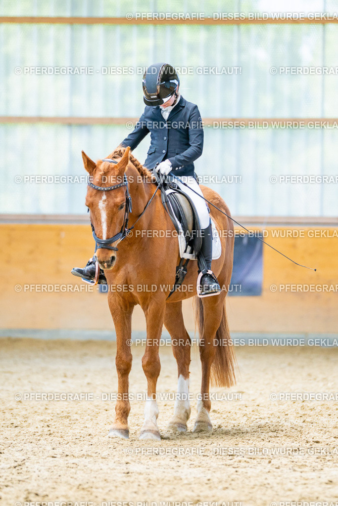 DSC08318 | Pferdegrafie