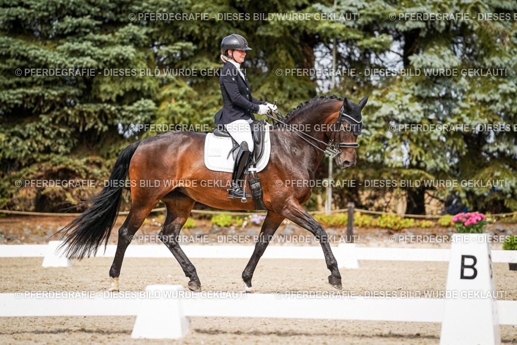 DSC06132 | Pferdegrafie