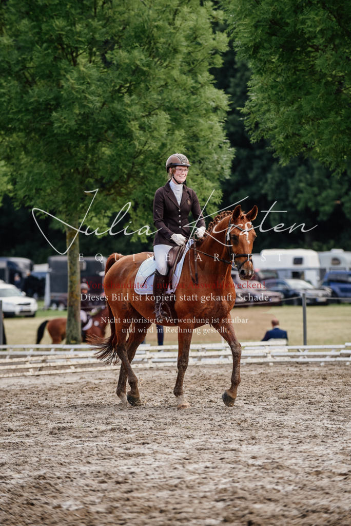 DSC_9720 | Pferde- und Turnierfotografie in Westsachsen. Pferdeportraits, Auftragszeichnungen und intuitive Kunst.