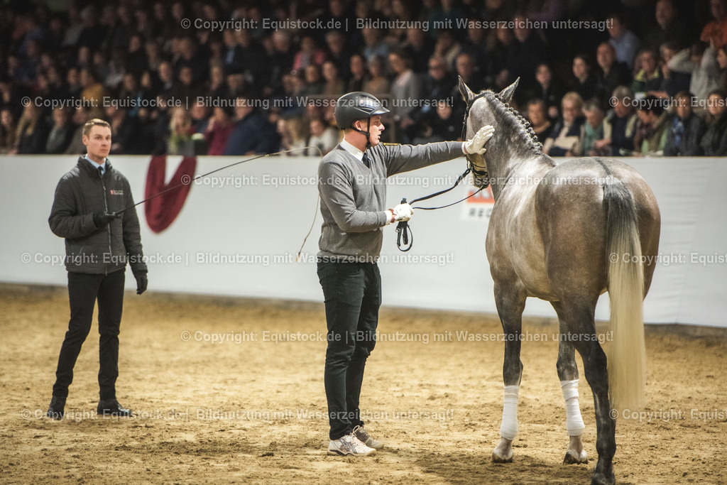 20240302_Hengstvorstellung_Marbach_TOMsPiC_0979 | equistock