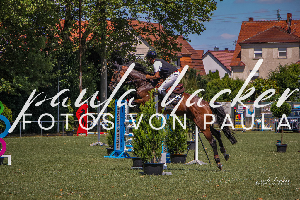 IMG_9708 | Erleben Sie dynamische Sport- und emotionale Tierfotografie in Süddeutschland mit Fotos von Paula. Spezialisiert auf Pferde- und Hundefotografie sowie Sportevents. Kontaktieren Sie mich für einzigartige und ausdrucksstarke Bilder Ihrer besonderen Momente. - Realisiert mit Pictrs.com