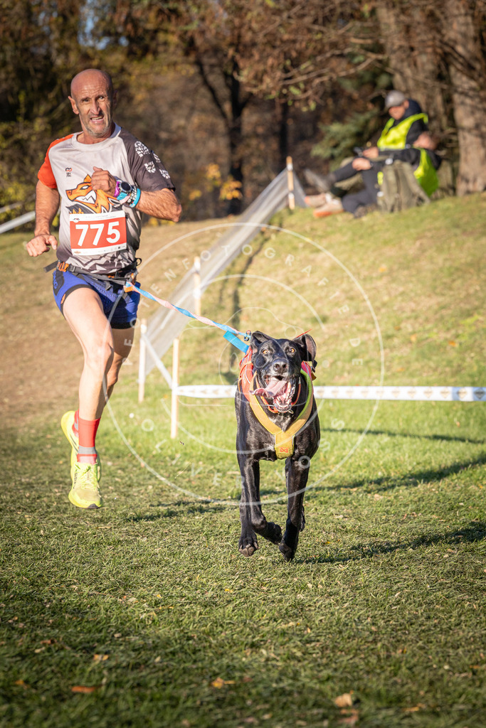 CaniXpix_0L8A0135 | Hundefotografie, Tierfotograf, Pfotenfotografie, Fotoshooting Hund, Hunde Portrait, Hundesport, Hundeportraits, Heideshooting, Hunde, Sportfotograf, Hundefotograf, Turnierhundsport, THS,  - Realisiert mit Pictrs.com