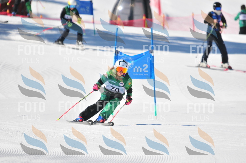 C2279 | holidayphoto