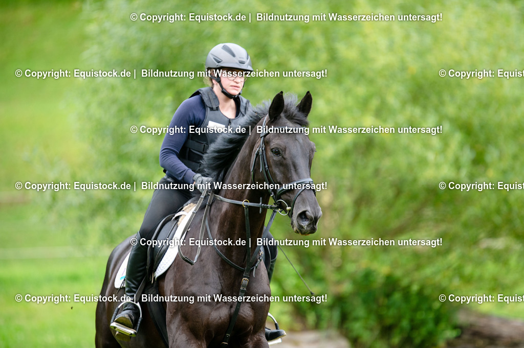 20250725_Vielseitigkeitslehrgang-Marbach_0805 | Foto: Thomas Hartig