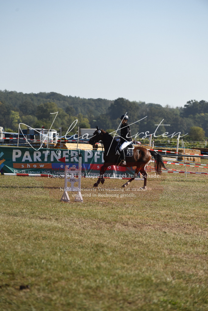 DSC_5813 | Pferde- und Turnierfotografie in Westsachsen. Pferdeportraits, Auftragszeichnungen und intuitive Kunst.