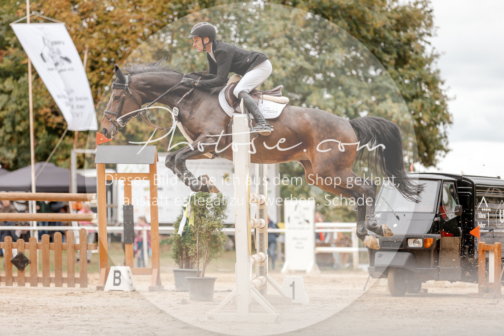 3I6A8684 | Stimmungsvolle Portraits und Reitsportfotografie im Ruhrgebiet und im Münsterland.

Pferdefotografie, Hundefotografie, Tierfotografie, Reportagen, Portraits von Tier und Mensch, Turnierfotografie in Bochum, Recklinghausen, Marl, Haltern am See, Dülmen.. - Realisiert mit Pictrs.com