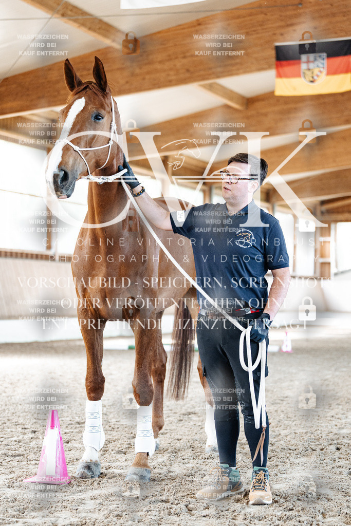CK905870 | Turnierfotografie Pferdefotografie Trier Rheinland-Pfalz Pferdesport Reitsport Tierfotografie Sportfotografie Pferdevideo Pferdevideografie Equestrianvideography equestrianphotography  - Realisiert mit Pictrs.com