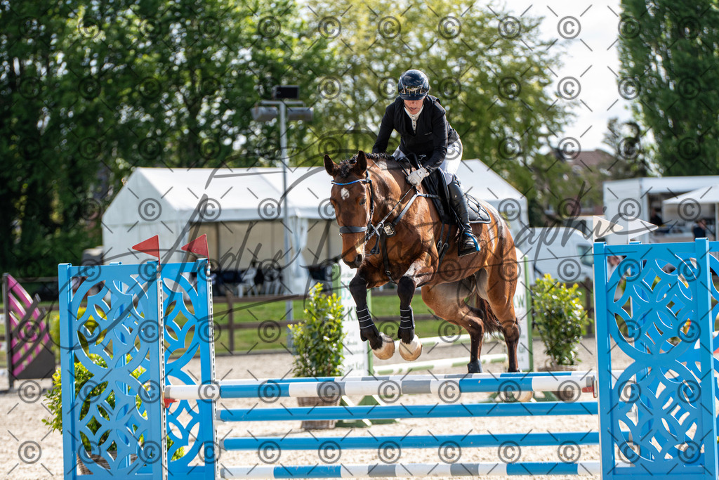 KPT_4729 | andre_photographic