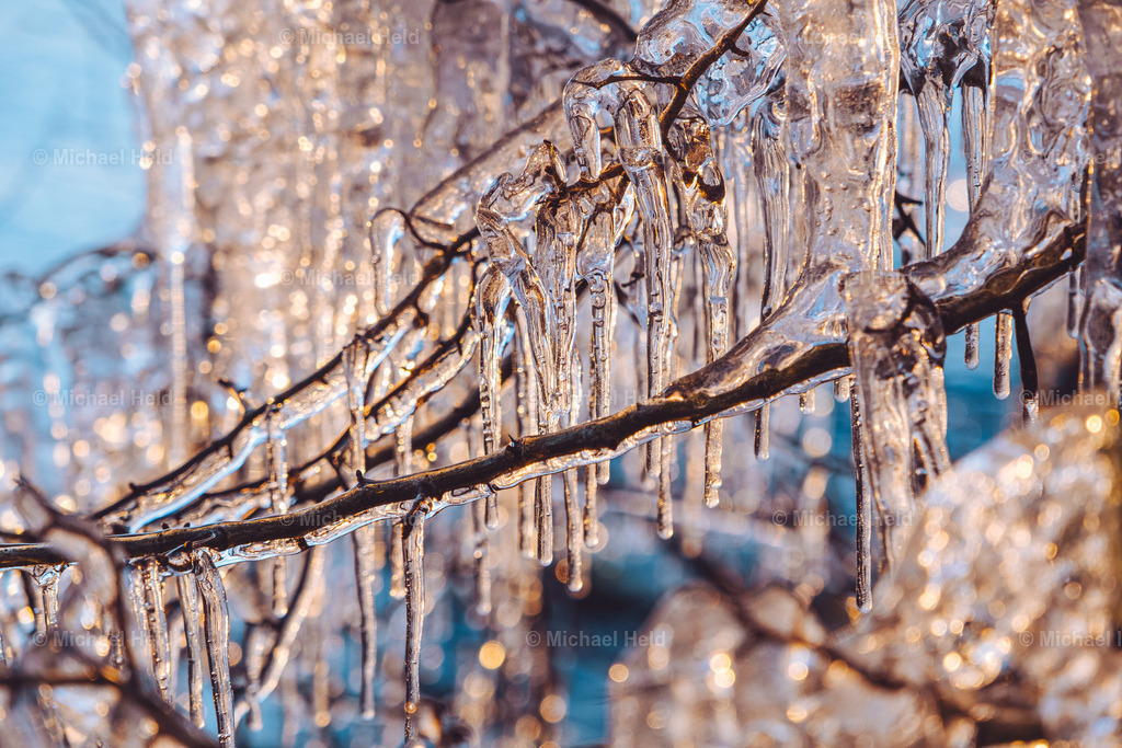 Eiskunstwerke am Selenter See | Profi-Fotos über Schleswig-Holstein und dem ganzen Norden für Büro, Hotel, Ferienhaus, Ferienwohnung, Wohnzimmer, Arztpraxis uvm. jetzt bestellen. - Realisiert mit Pictrs.com