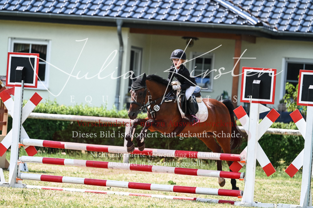 DSC_9351 | Pferde- und Turnierfotografie in Westsachsen. Pferdeportraits, Auftragszeichnungen und intuitive Kunst.
