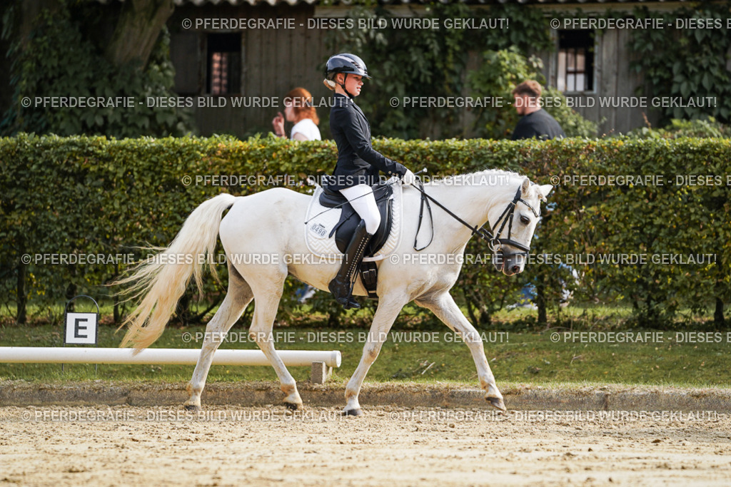 DSC04621 | Pferdegrafie