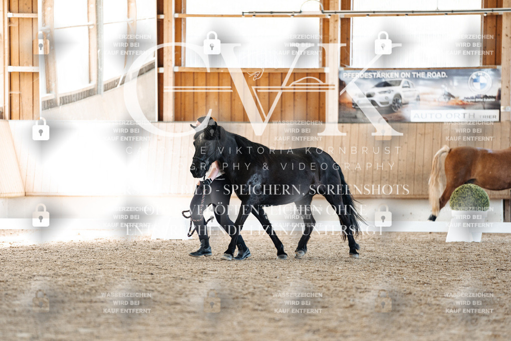 CK906535 | Turnierfotografie Pferdefotografie Trier Rheinland-Pfalz Pferdesport Reitsport Tierfotografie Sportfotografie Pferdevideo Pferdevideografie Equestrianvideography equestrianphotography  - Realisiert mit Pictrs.com