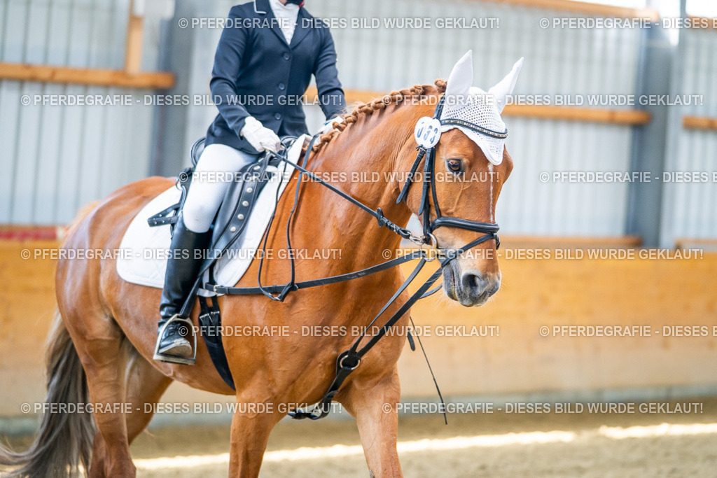 DSC02935 | Pferdegrafie