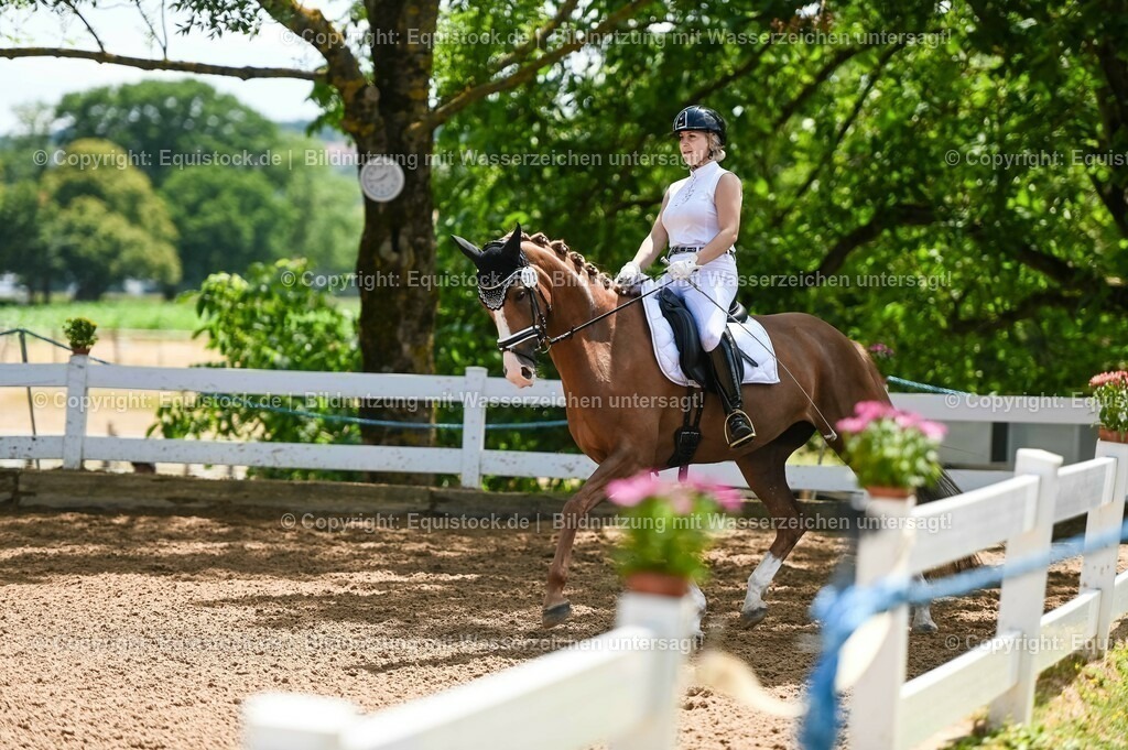 20230716_03_Dressurprfg. Kl.L - Tr._0495 | equistock
