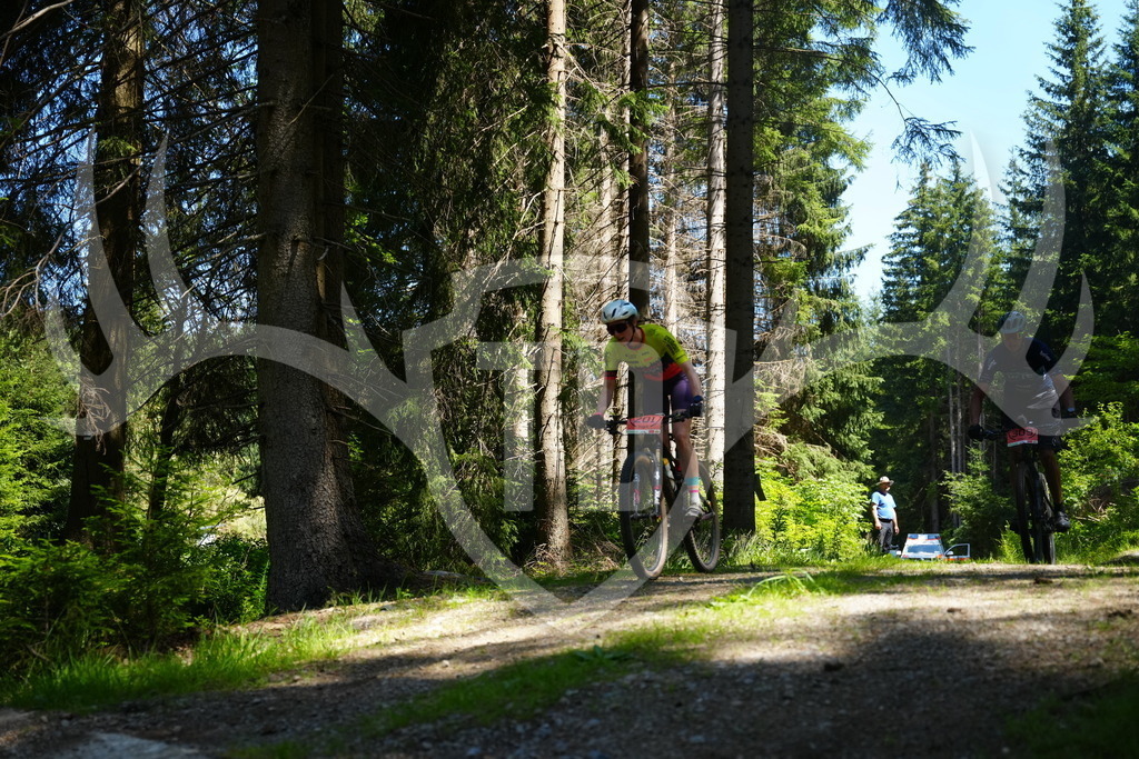 FC101680 | Fotogalerie der Treibjagd im Dunkelwald - Dein MTB Etappenrennen im Erzgebirge - Realisiert mit Pictrs.com