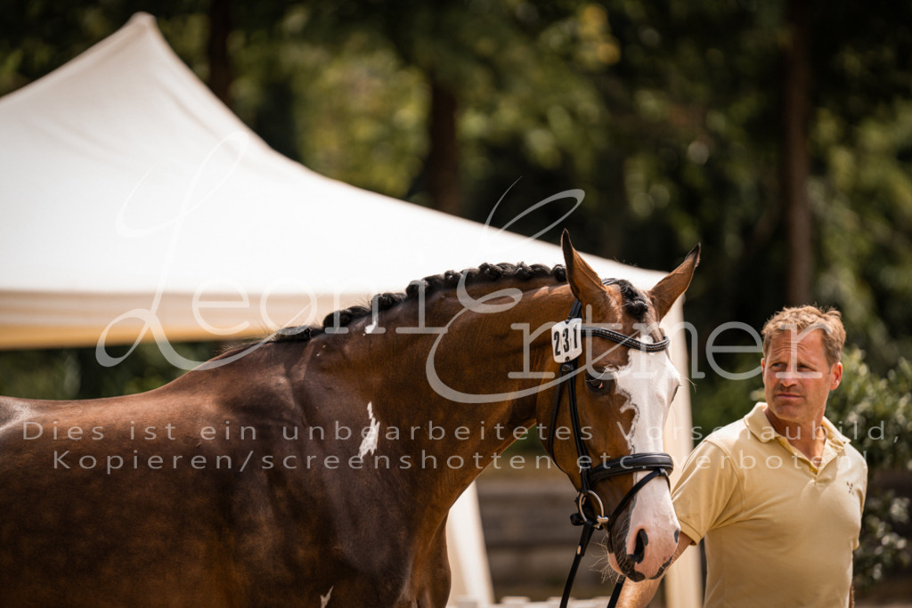 2. Fr00185 | Leoni Ertmer Photography - Realisiert mit Pictrs.com