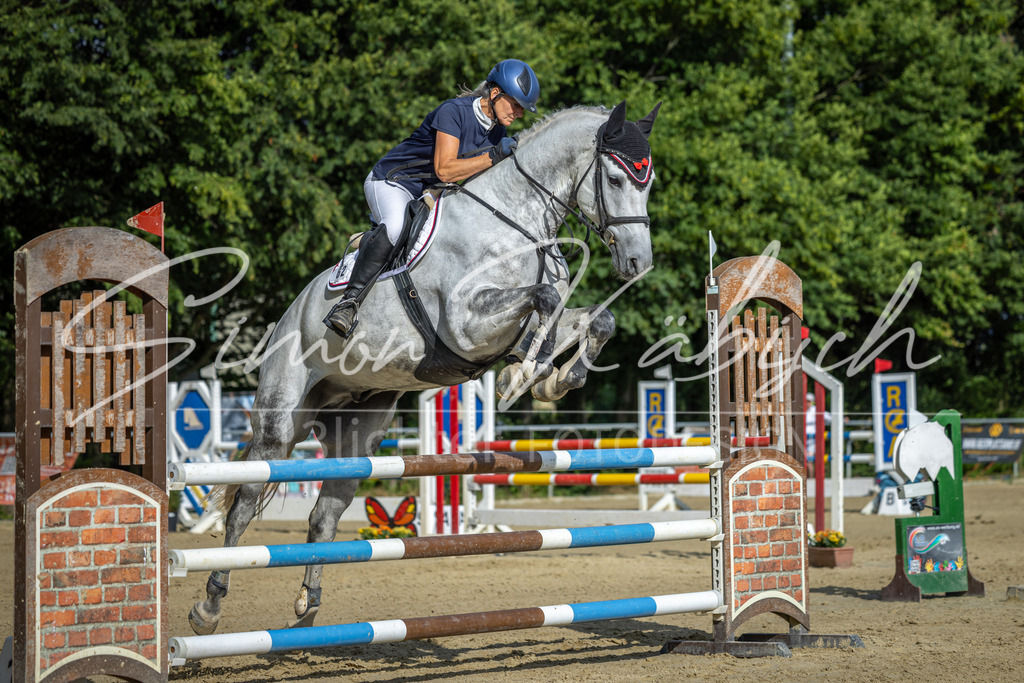 20260704-_3LI2194 | Tierfotografie Pferde, Hunde, Katzen, Haustiere.
Turnierfotografie Reitturniere, Reiten, Springreiten, Dressur in Hanau, dem Main-Kinzig-Kreis und dem Rhein-Main- Gebiet um Frankfurt