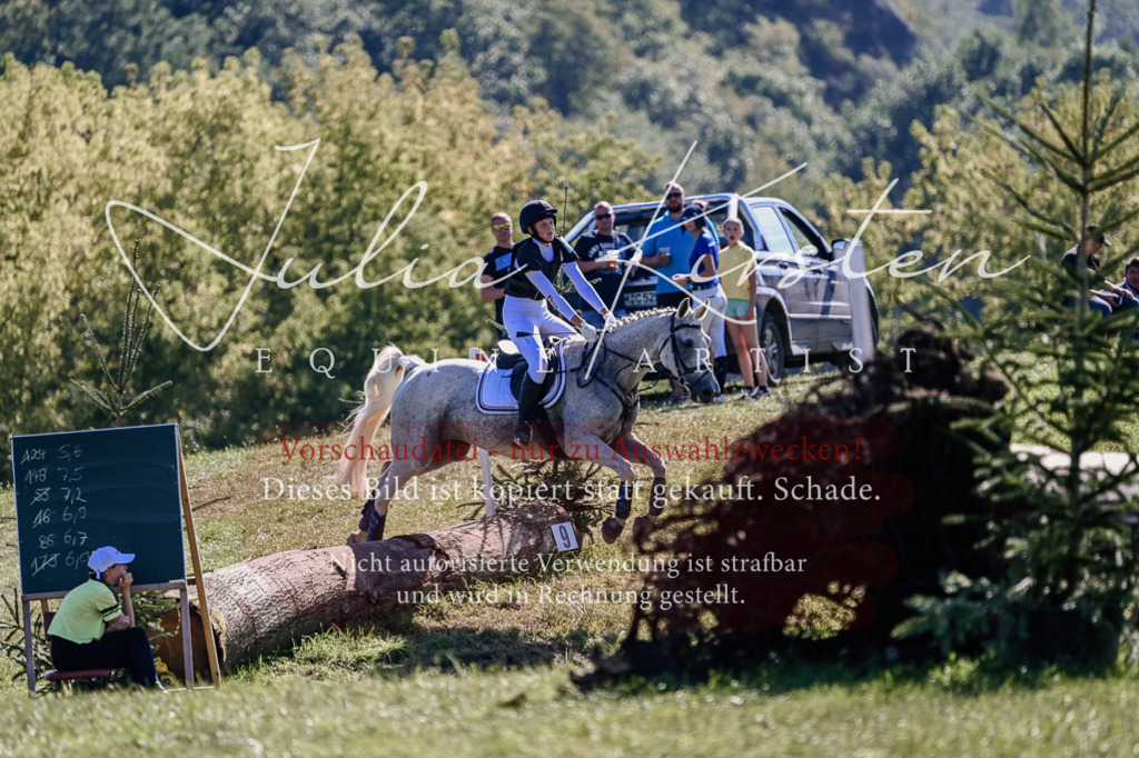 DSC_3004 | Pferde- und Turnierfotografie in Westsachsen. Pferdeportraits, Auftragszeichnungen und intuitive Kunst.