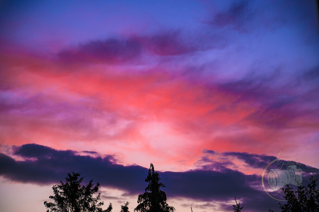 _DSC1441 | Shop für Prints Landschaftsfotografie Sächsische Schweiz Naturfotografie in Thüringen Fotos vom Findlingspark Nochten Kloster Sankt Marienstern Bilder Festung Königstein PanoramaRhododendronpark Kromlau FotogalerSchleswig-Holstein Küstenlandschaften