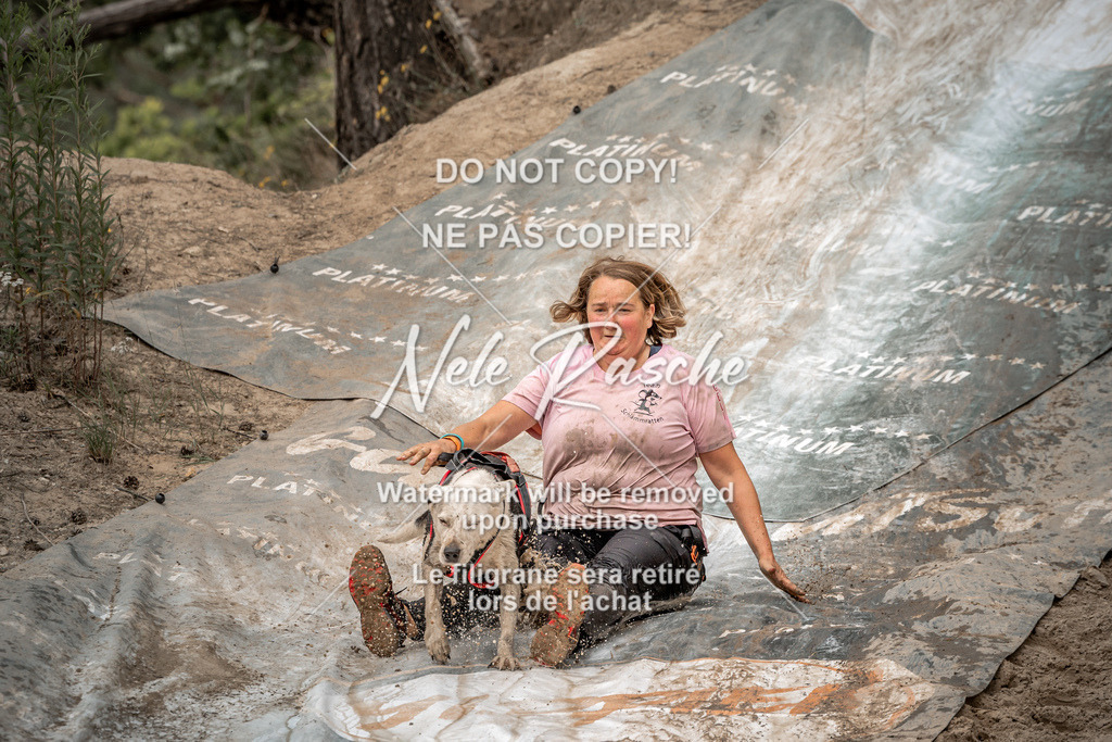 nelerasche_sa1430-1500_315 | nelerasche