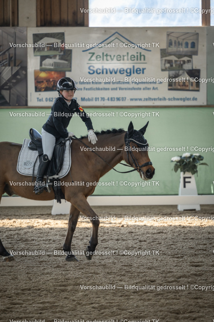 _D5A8584 | Emotionale Pferde- & People-Fotografie rund um Heidelberg, Leimen & Umgebung. Natürliche Fotos von Pferd, Mensch & Familie. Jetzt Termin sichern!