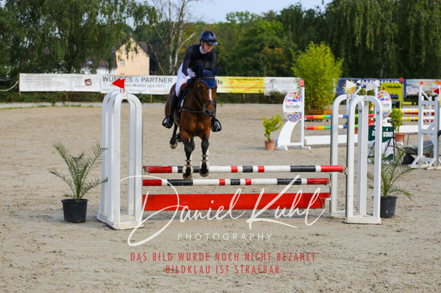 Gut Blee25_Amateuer Stilsprpfg Kl A_0139 | Turniersportfotografie; Pferdefotografie; Dressurfotografie