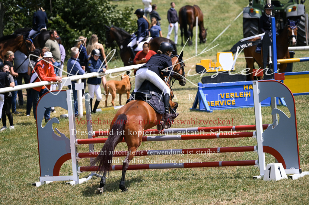 DSC_9507 | Pferde- und Turnierfotografie in Westsachsen. Pferdeportraits, Auftragszeichnungen und intuitive Kunst.