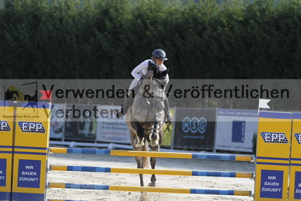 _MG_7377 | equestrian-live-com