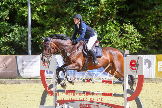 DKP43110 | Deine Turnierfotos vom Reitturnier online kaufen: Dressur, Springen & Siegerehrung. Professionelle Pferdefotografie aus dem Rheinland – als Download & Print.Alternative: Turnierfotograf für den Pferdesport: Finde deine Fotos von Dressur- und Springturnier