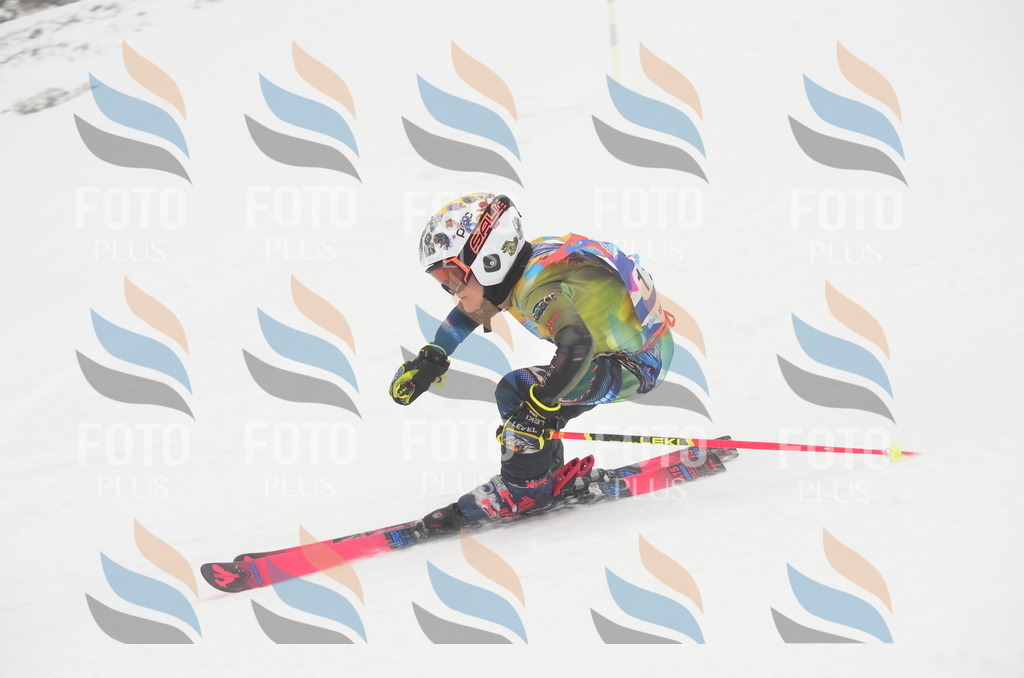 C1501 | holidayphoto