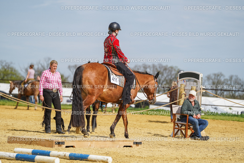 DSC04472 | Pferdegrafie