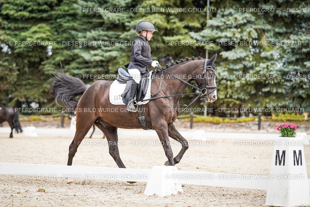 DSC02772 | Pferdegrafie