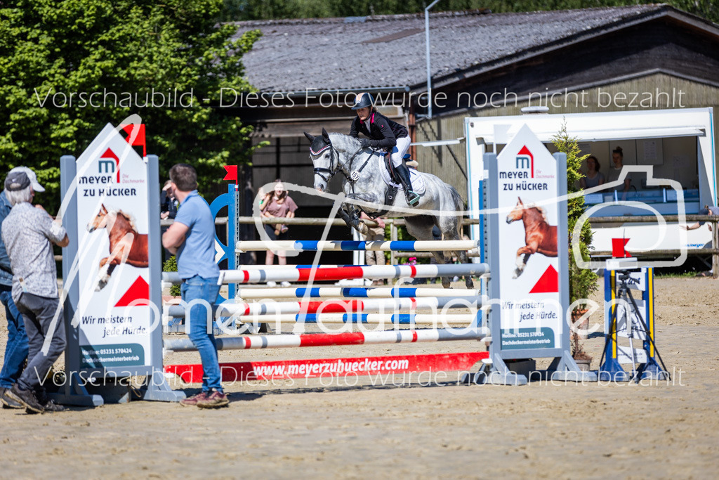 Donop24-A2Spr-178 | MomenTaufnahmen Pferdesportfotos