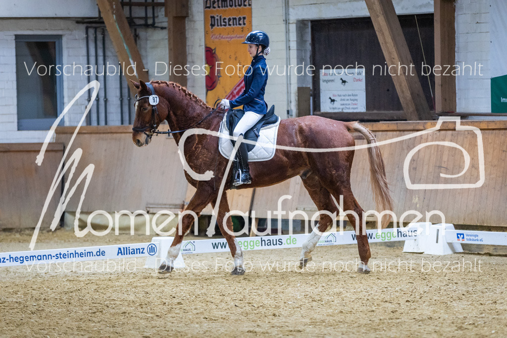 Sth-WBO25-EDr-125 | MomenTaufnahmen Pferdesportfotos