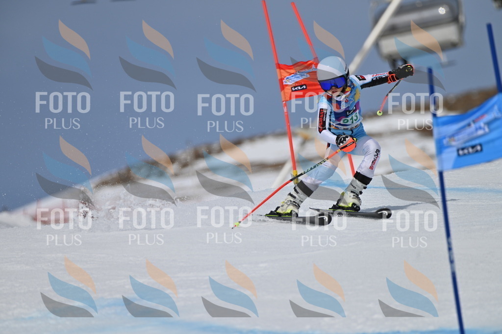 BGV_6197 | holidayphoto