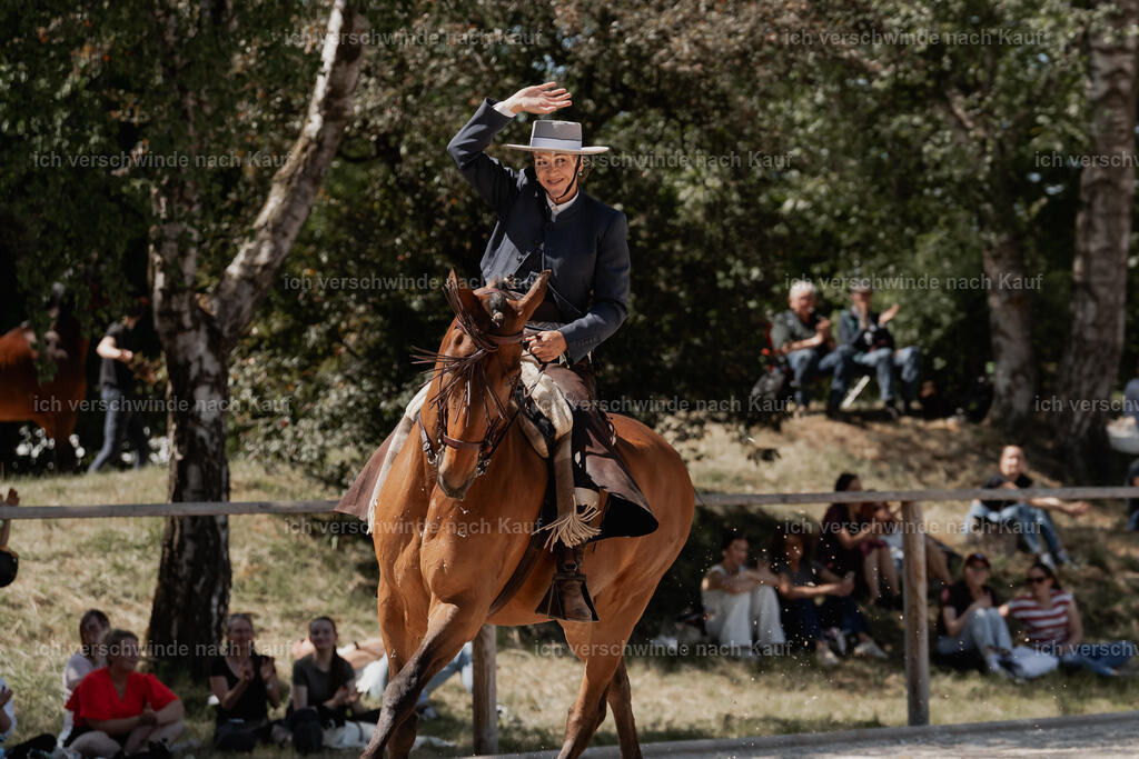 WE_ST_Stoib_313_PI2025_1300 | Pferd International München 2025