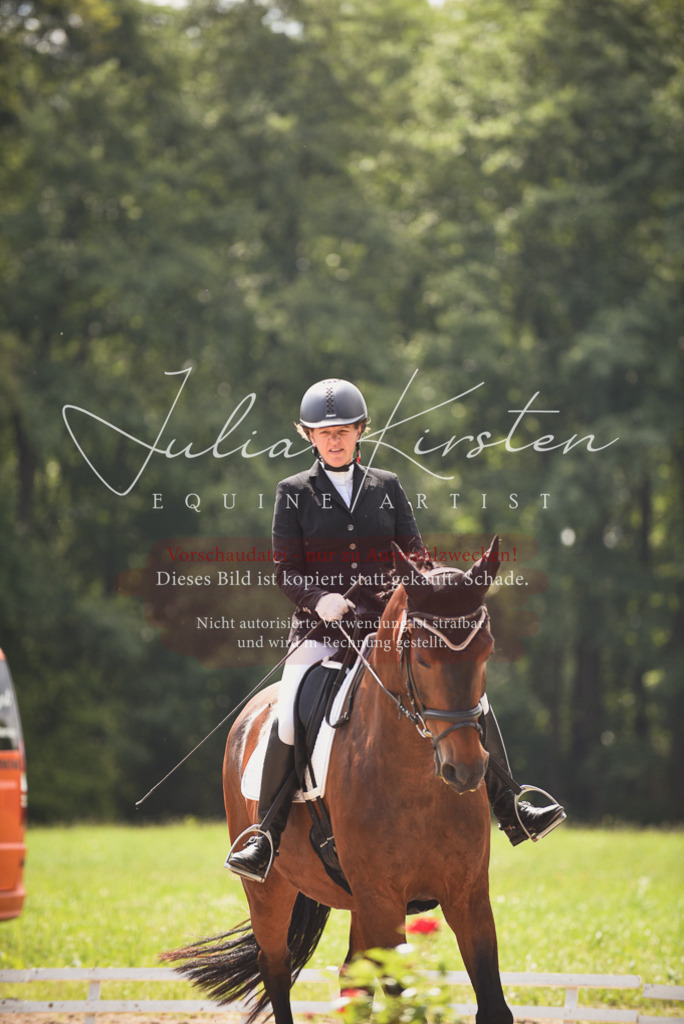 DSC_0772 | Pferde- und Turnierfotografie in Westsachsen. Pferdeportraits, Auftragszeichnungen und intuitive Kunst.