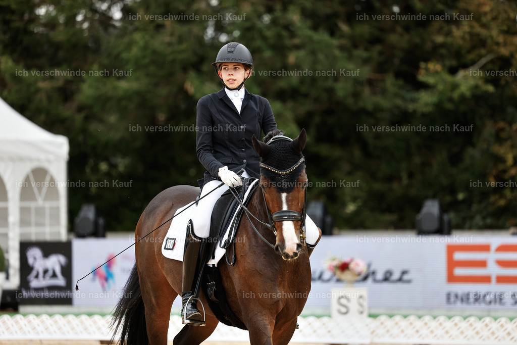 3-224-Dressur M_-StoibPH-2542 | working equitationturnier fotograf videograf stoibphotography marixx film working equitation deutschland reitsport turnierfotografie eventfotografie equestrian events