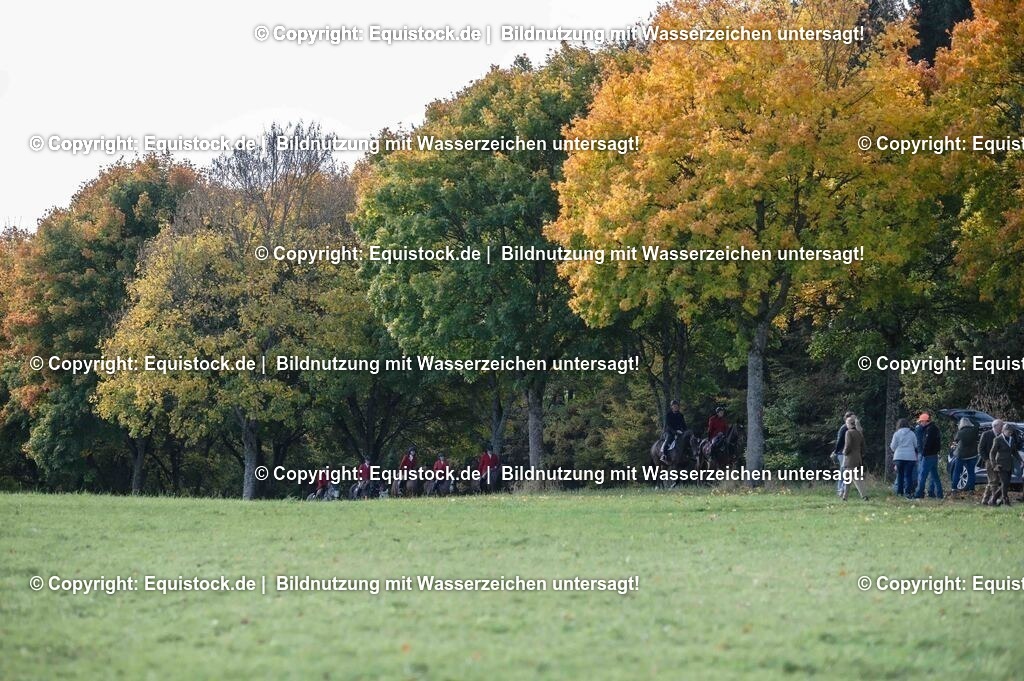 20251011_Jagd-Marbach_0277 | Foto: Thomas Hartig