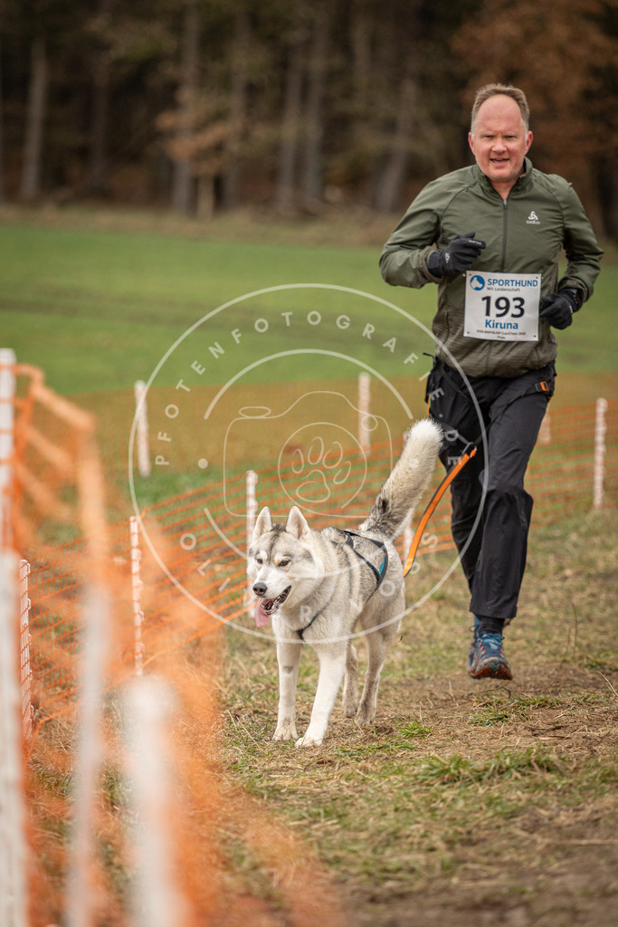 DV3A2729 | Hundefotografie, Tierfotograf, Pfotenfotografie, Fotoshooting Hund, Hunde Portrait, Hundesport, Hundeportraits, Heideshooting, Hunde, Sportfotograf, Hundefotograf, Turnierhundsport, THS,  - Realisiert mit Pictrs.com