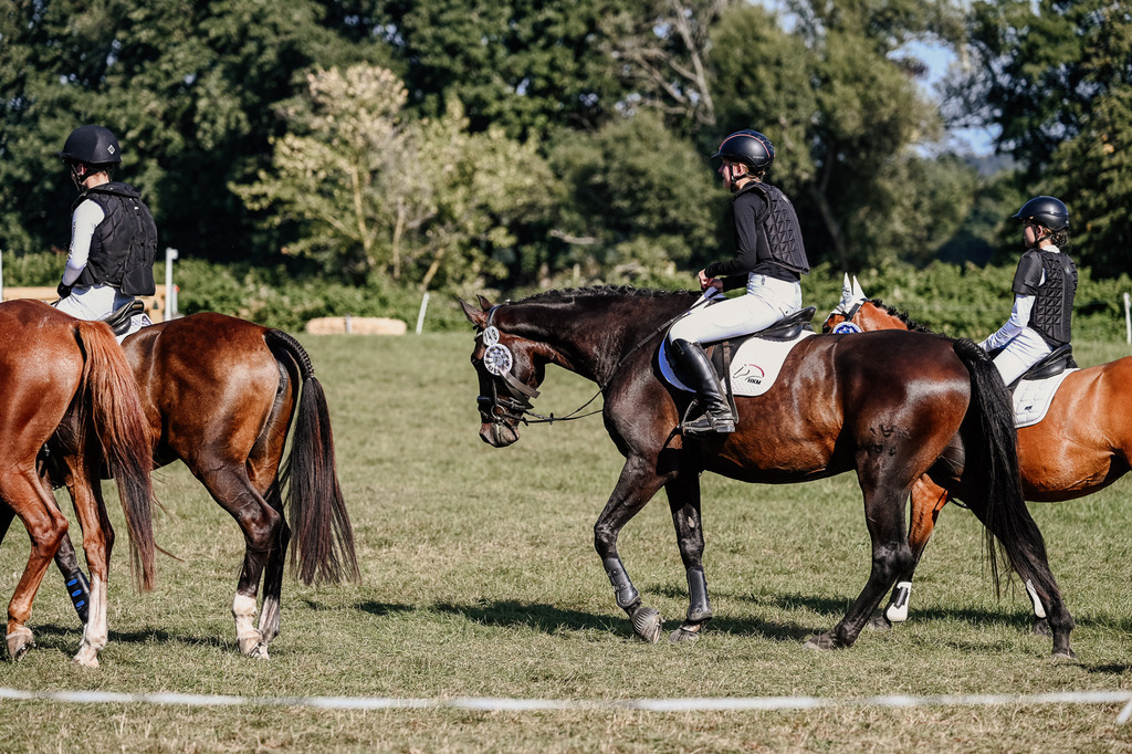 DSC_3706 | Pferde- und Turnierfotografie in Westsachsen. Pferdeportraits, Auftragszeichnungen und intuitive Kunst.