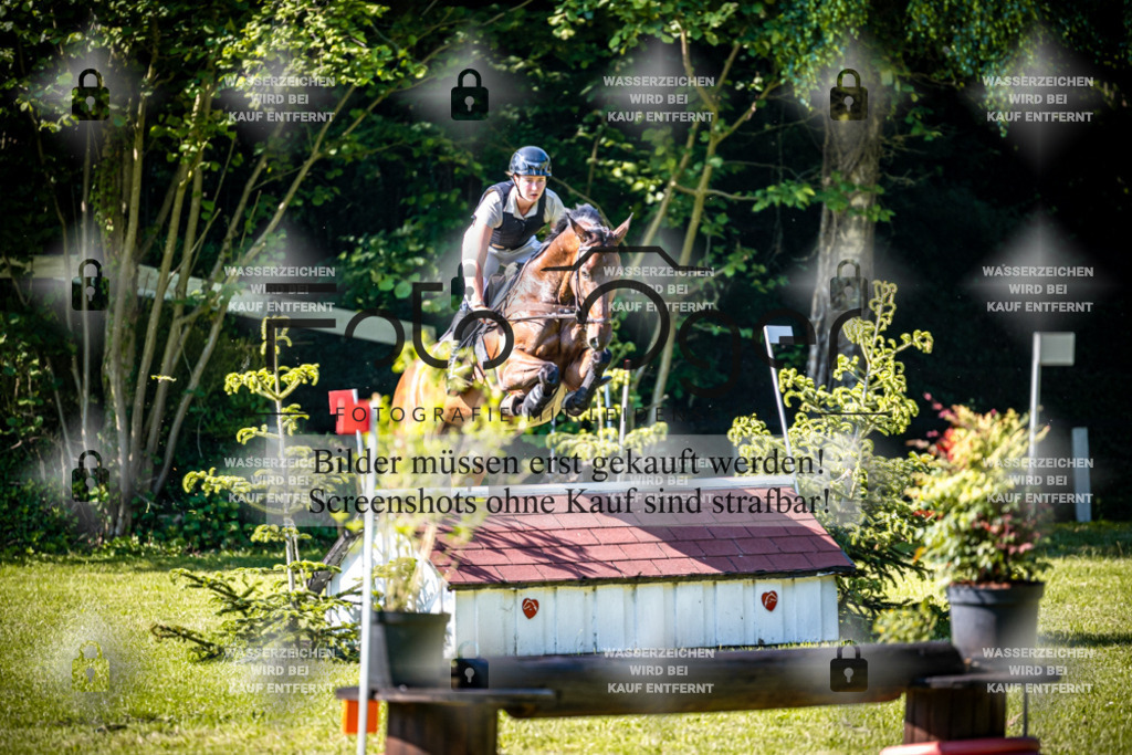 2026-05 - Melle Oldendorf-3-0006 | Entdecke hochwertige Reitturnierfotos von Foto Oger. Professionell, emotional und authentisch – jetzt Lieblingsmomente im Shop bestellen.Deutschlandweite Turnierfotografie. - Realisiert mit Pictrs.com